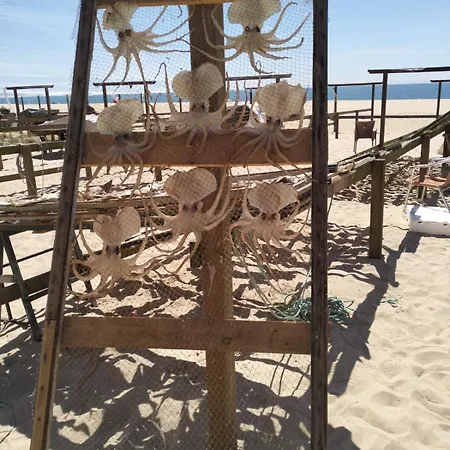 Διαμέρισμα Martins Nazare Land's Hause