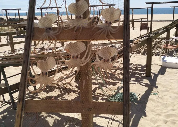 Apartamento Martins Nazare Land's Hause